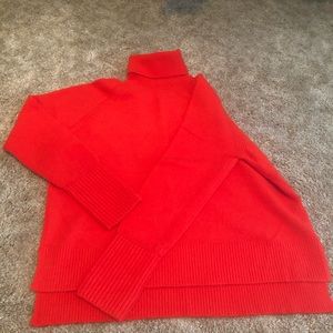 JCrew Turtleneck Sweater
